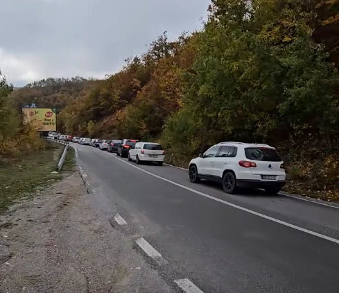 Kolona