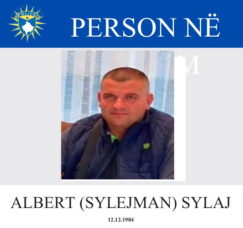 albert sylaj