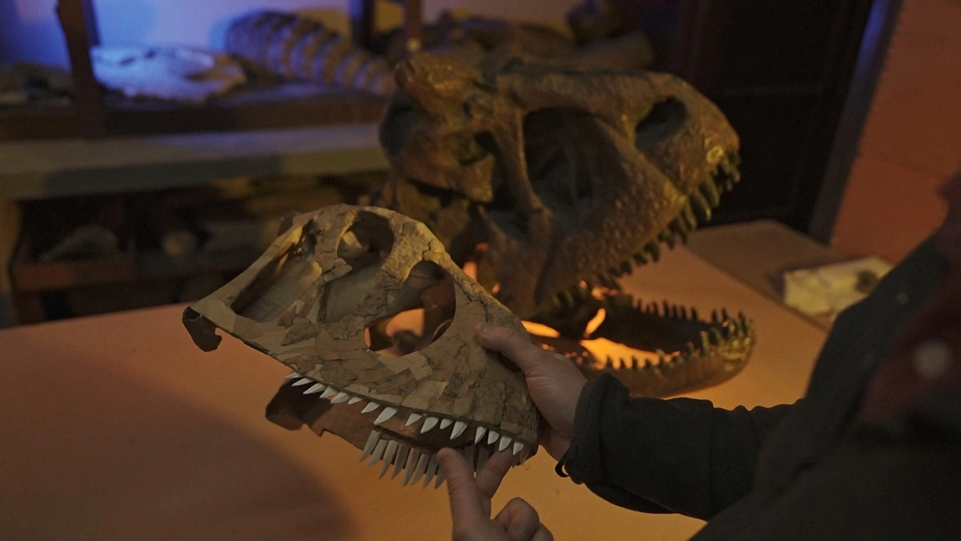 “PaleoCartón”