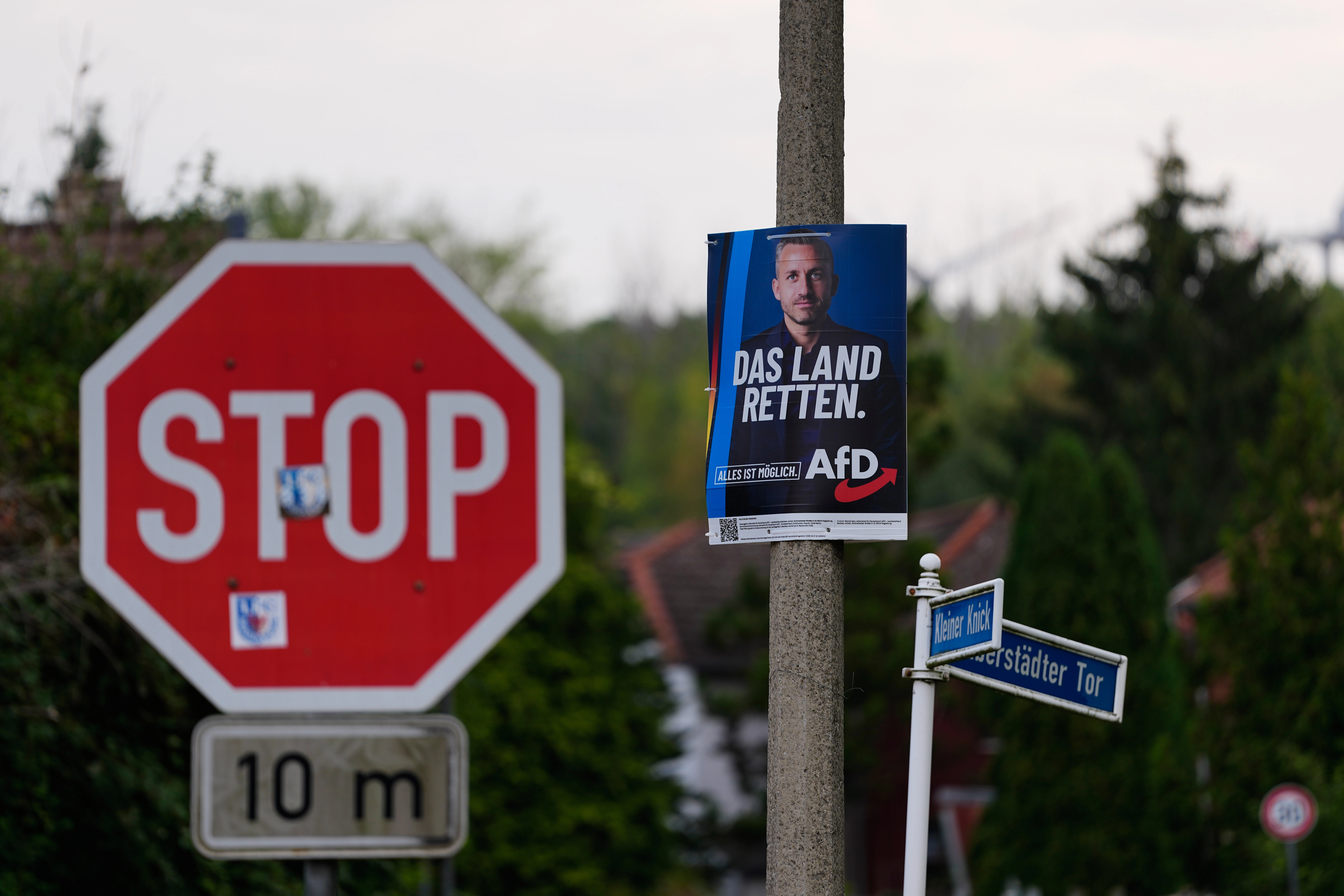 AfD Gjermani