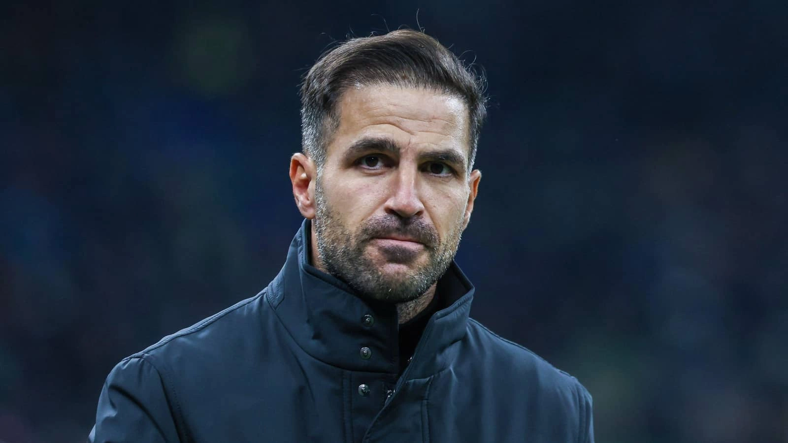 Cesc Fabregas