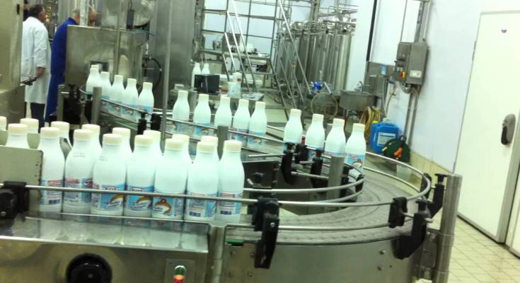 Kosova merr në mbrojtje prodhimin vendor të qumështit