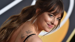 Johnson zgjedh Dornanin para personazhit të “Fifty Shades”