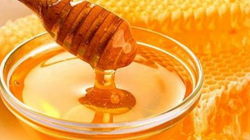 Përfitimet shëndetësore nga konsumimi i mjaltit në mëngjes 