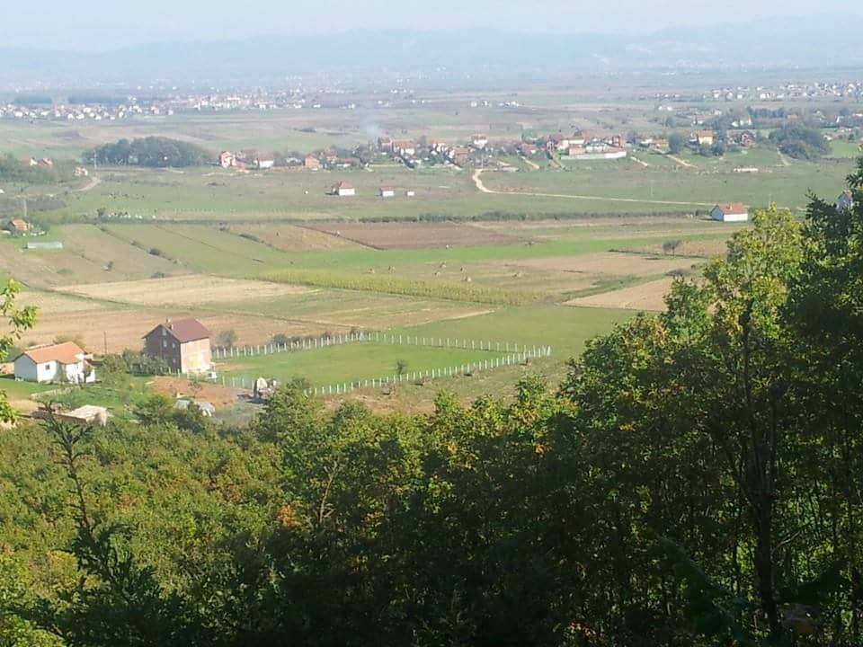 Në Lipjan kundërshtohet me peticion lokacioni i mbeturinave të kafshëve