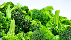 Brokoli, më i shëndetshmi i stinës