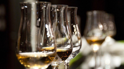 Alkooli, dëmet që i shkakton shëndetit