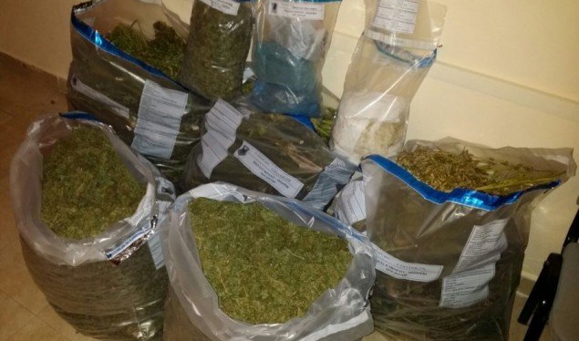349 kg kanabis në Mallakastër, arrestohen 4 femra