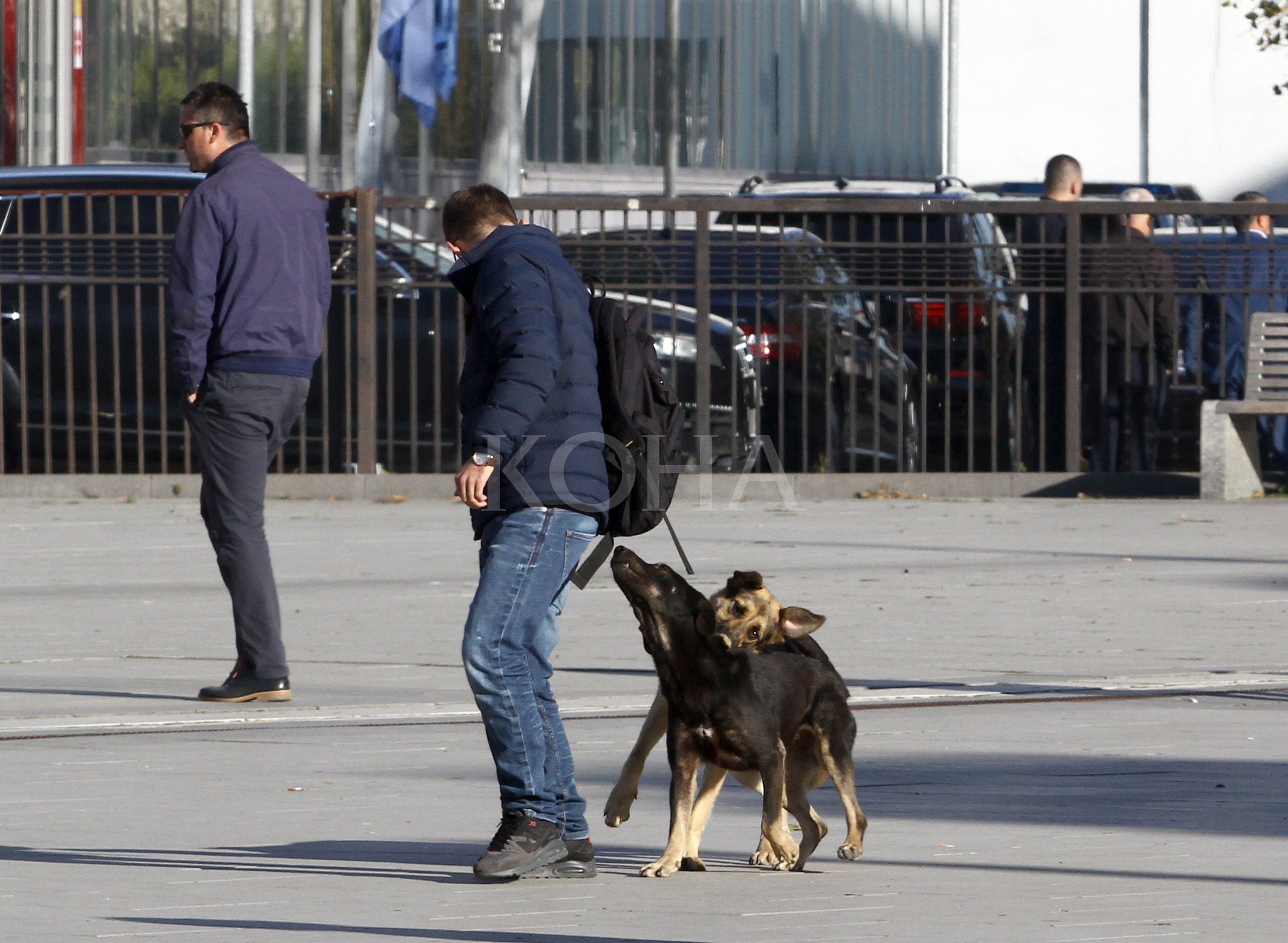 Foto: Koha / ilustrim