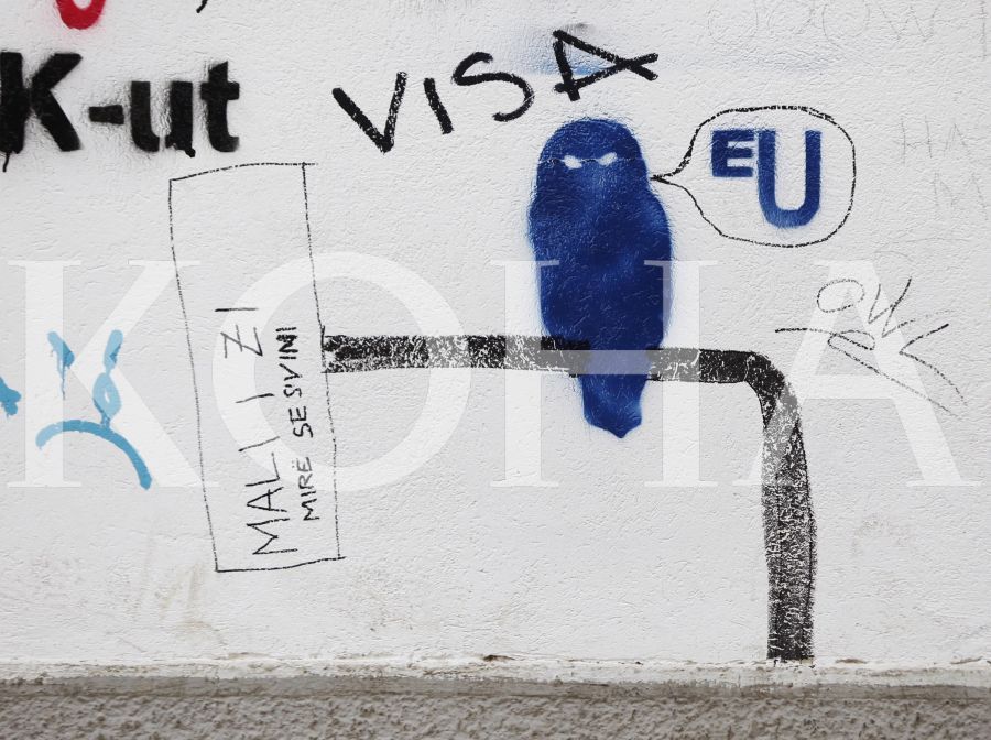 Demarc Point The hope for visa liberalization is based on the understanding of the ...