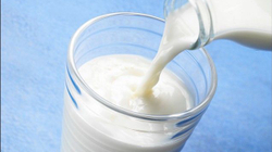 5 Nebenwirkungen durch übermäßigen Milchkonsum