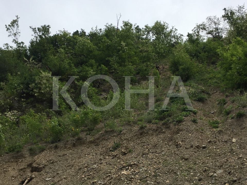 Kërkimet e dy policëve po vazhdojnë edhe në pjesën malore