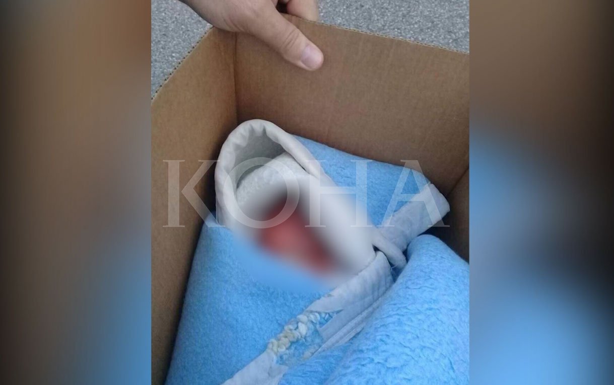 Raporti i KTV-së për gjetjen e foshnjës së braktisur në Vrellë