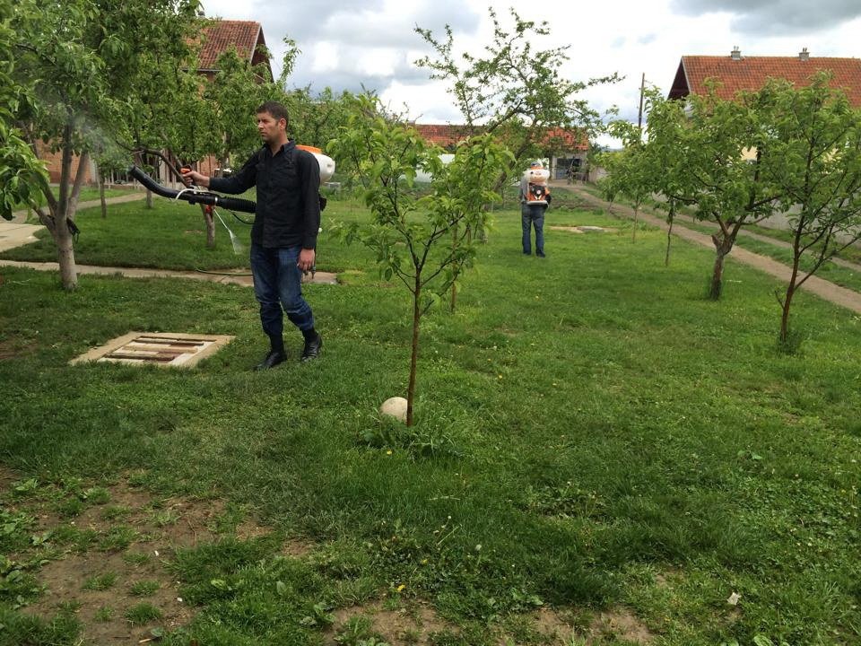 Suhareka nis fushatën e vetëdijesimit për mbrojtje nga rriqrat