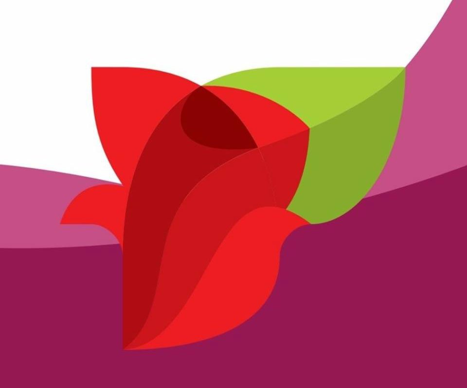 Të shkëputurit nga Vetëvendosja sot themelojnë Partinë Socialdemokrate