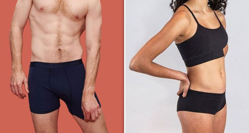 Egypt makes it to the Guinness World Records for … underwear?