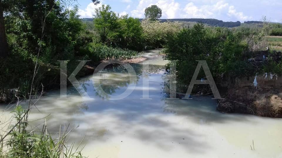 Rrjeti i OJQ-ve alarmon për ndotje të lumit, Ministria s`e konstaton