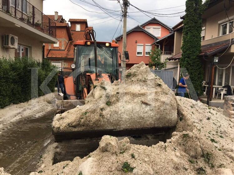 Breshri i shkakton dëme bujqësisë afro gjysmë milioni euro