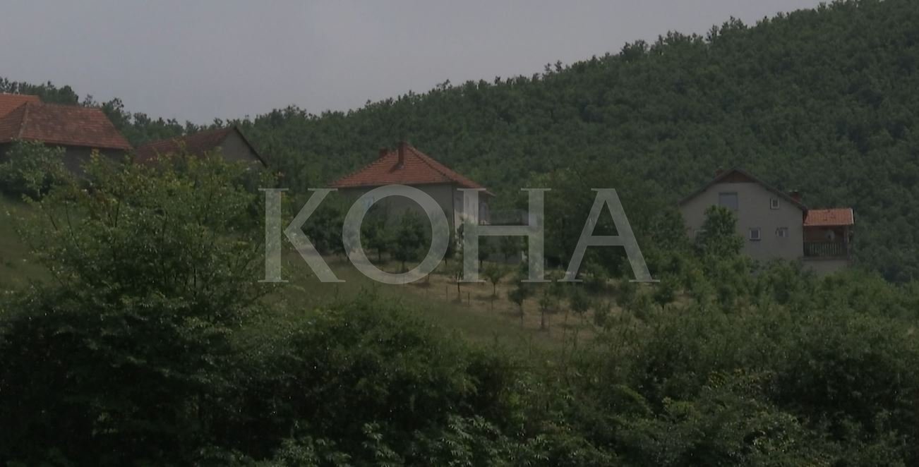 Askush nuk e kishte lajmëruar Gani Bernjashin për dhunë në familje