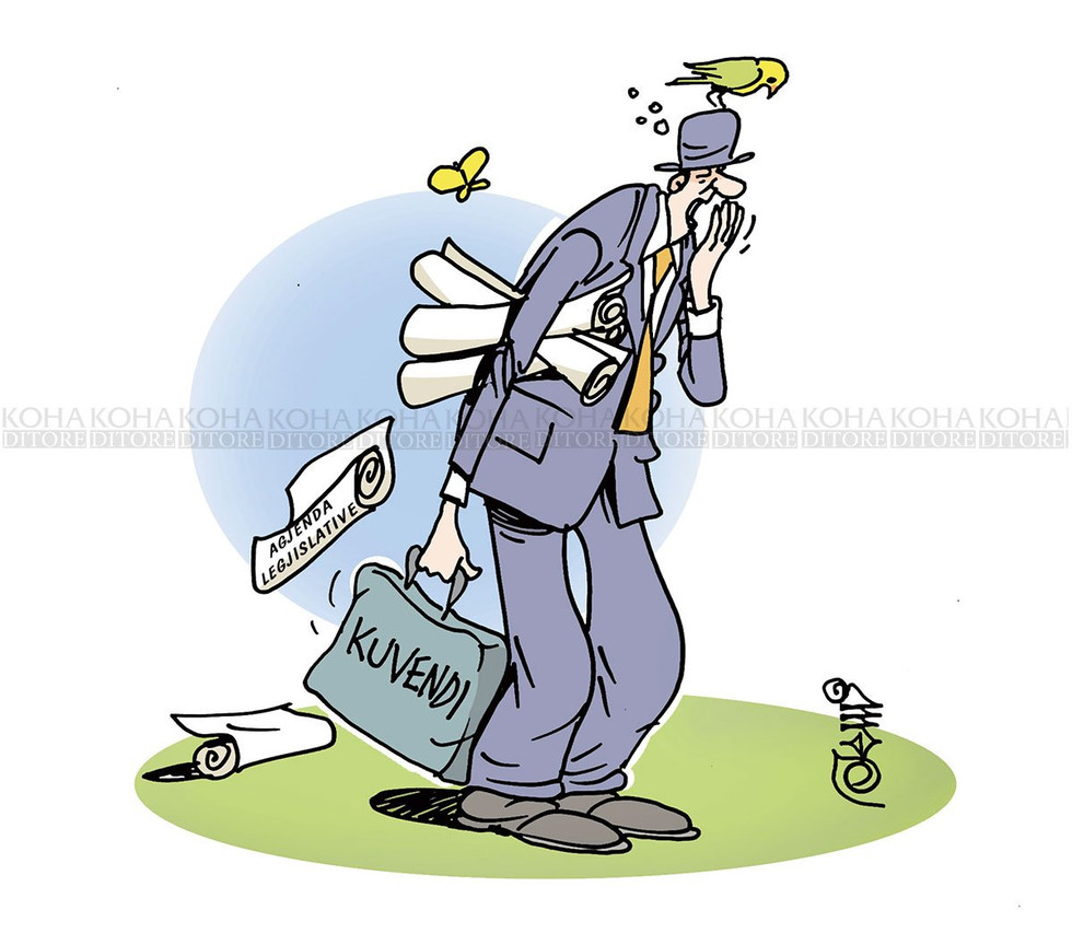 Karikatura e ditës - 29 maj 2018