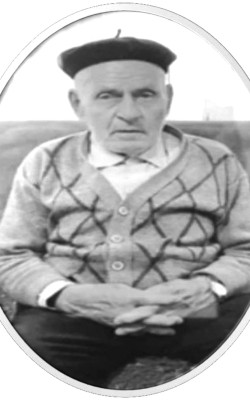 NAZMI SHAMOLLI